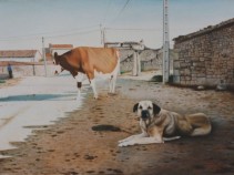 Vaca y perro