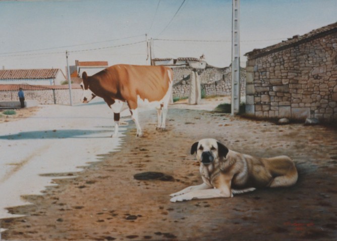 Vaca y perro